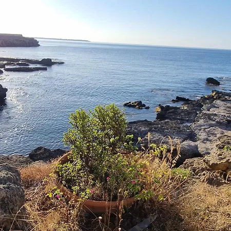 度假居 Stella Maris