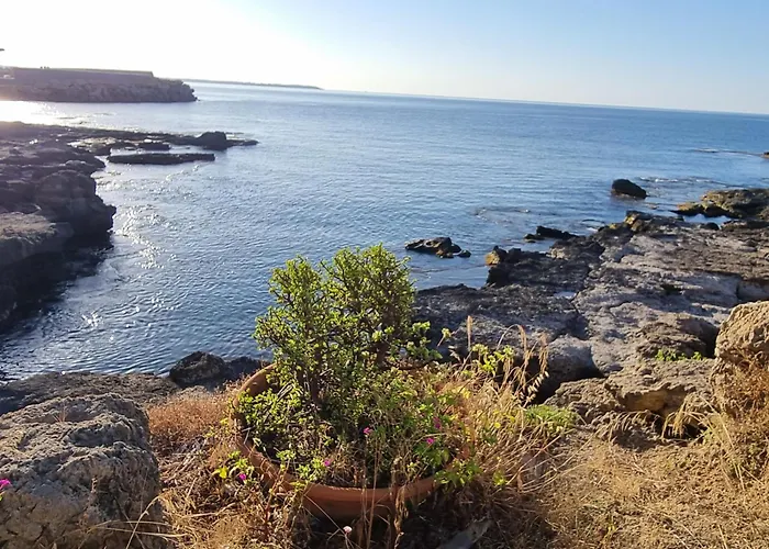 度假居 Stella Maris